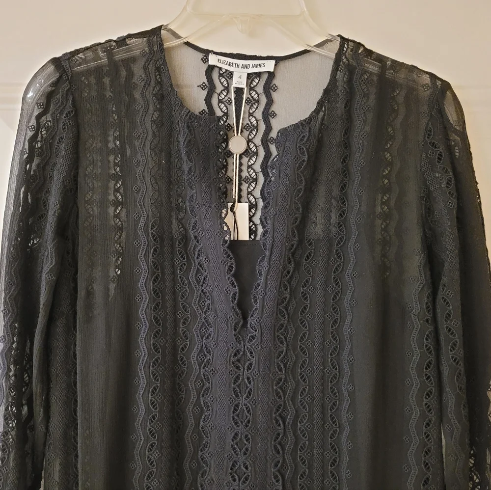 Elizabeth & James Black Embroidered Silk Georgette Mia Maxi Dress - Picture 3 of 11